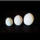 Egg Ceramic White Base 18cm