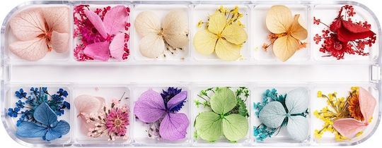 Luxorise Dried Nail Flowers Grace Touch 12 Designs
