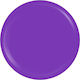 Sensopro Milano Expert Line Uv Colored Gel Viol...