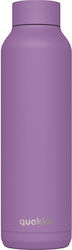 Quokka Solid Bottle Thermos Stainless Steel BPA...