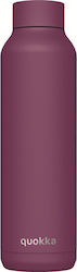 Quokka Solid Stainless Steel Thermos Bottle BPA...