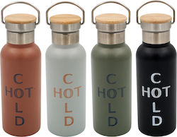 Sidirela Eco Bottle Thermos 500ml Light Grey E-...