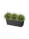 Galicja Kunststoff-Blumentopf Anthrazit 17 cm