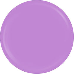 Sensopro Milano Expert Line Uv Farbgel Amethyst...