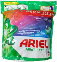 Alista Home Profesional Capsule 65 Alista Home Profesional Capsule 65