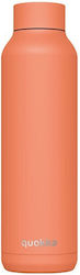 Quokka Solid Bottle Thermos Stainless Steel 630...