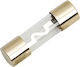 10 Goldbeschichtete Auto-Sicherungen 60a 10×37 Mm Auto Audio Verstärker