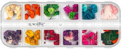 Luxorise Dried Nail Flowers Rainbow Bloom 12 Designs Luxorise Dried Nail Flowers Rainbow Bloom 12 Designs