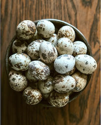 Hokuō Quail Eggs Quail Eggs 100g 15-20 Eggs Hokuō Quail Eggs Quail Eggs 100g 15-20 Eggs