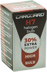 Halogen Car Bulb H7 12v 55w +30% Brightness Halogen Car Bulb H7 12v 55w +30% Brightness