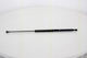 Triscan 8710 28237 Trunk Shock Absorber