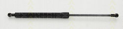 Triscan 8710 40229 Trunk Shock Absorber