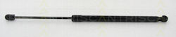 Triscan 8710 292001 Trunk Shock Absorber