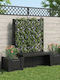 Outdoor Bench Made of Polypropylene 173x49x135.5cm
