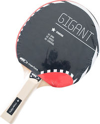 Martes Тенис Ракета Ping Pong