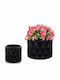 Polnix Vas Pentru Plante Ceramic Negru 13x13x12.5cm