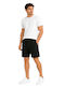 Sports Men's Shorts Black