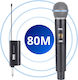 DNA BAT Vocal Microfon Dinamic De Mână Fără Fir Pentru Vocală
