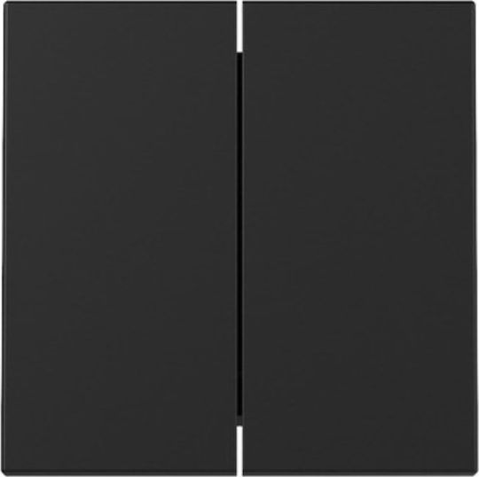 Switch Gira 3295005 Rocker 2f System 55 Black W