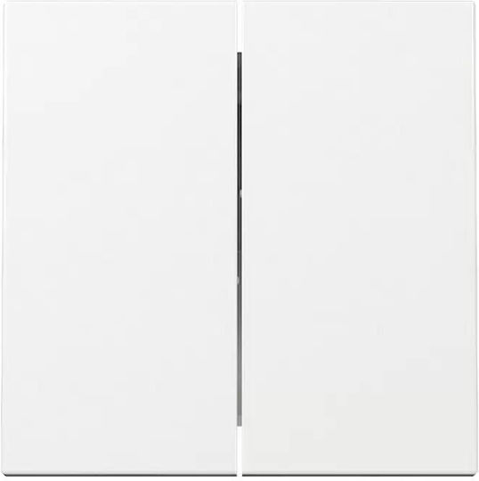 Gira Elektrischer Wandtaster 329503 Wippenschalter 2f System 55 Reinweiß