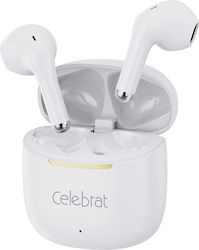 Celebrat W79 Earbud Λευκά