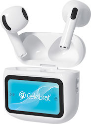 Celebrat W76 Earbud Λευκά