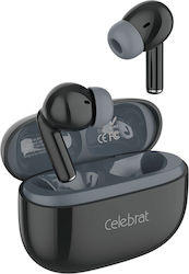 Celebrat W73 In-Ear Schwarze