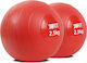 Weighted Mini Ball 2.5kg*2 Anti-slip X-fit