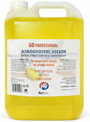 Go Professional Special Cleaner 4lt