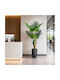 Plantă Artificială Decorativă Tropicală În Ghiveci 165cm Pentru Interior