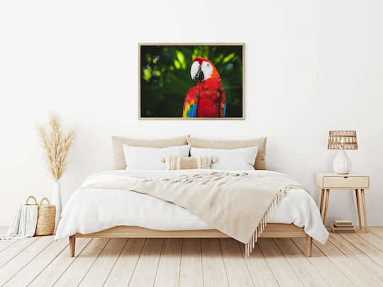 Панел Colorful Parrot In Nature Многоцветен Папагал В Природата 150x100