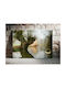 Reflection Ein Alter Baum Am Fluss Gemälde 100x70