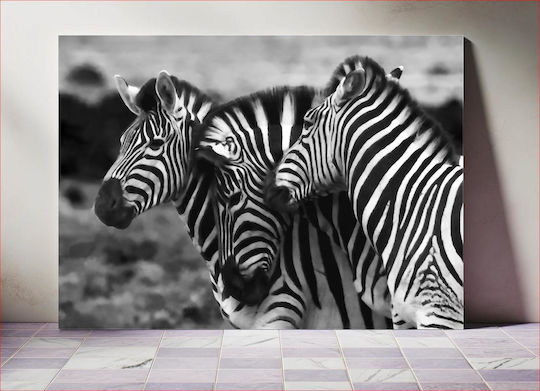 Πίνακας Graceful Zebras In Black White Χαριτωμένα Ζέβρες Ασπρόμαυρο 100x70