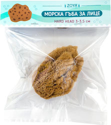 Гъба Морска За Лице Hard Head 3-3 5 См – Небоядисана