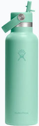 Hydro Flask Standard Flex Stainless Steel Therm...