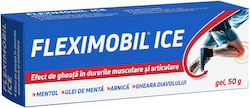 Fiterman Pharma Fleximobil Ice Cooling Gel Γέλη Κρυοθεραπείας 50gr Fiterman Pharma Fleximobil Ice Cooling Gel Γέλη Κρυοθεραπείας 50gr