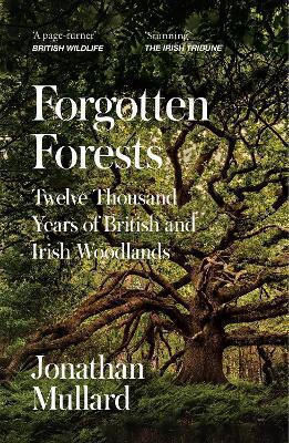 Forgotten Forests Twelve Thousand Years Of British And Irish Woodlands Jonathan Mullard