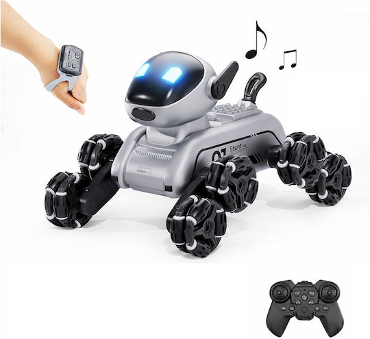 360° RC Robot