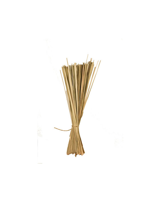 Φύλλα Grass Μάτσο Σετ 6 Τεμάχια