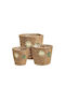 Set Of 3 Wicker Potted Plants Flower 14 16 19 Cm Zaros He707