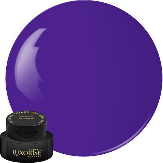 Gel Uv Nail Art Babyboomer Luxorise Cushion Ombre Bază Prună Violet 2ml