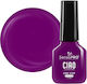 Sensopro Milano One Step Semi-permanent Nail Po...