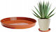 Galicja Farfurie Pentru Floare Din Plastic Terracotta