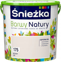 Śnieżka Barwy Natury Latex Interior Paint Beige Linen 2.5l Śnieżka Barwy Natury Latex Interior Paint Beige Linen 2.5l