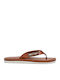 Wind Men's Flip Flops Brown