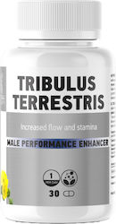 Natura Therapy Tribulus Terrestris 30 κάψουλες