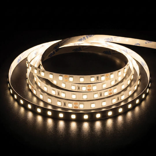 VK Lighting Smart LED Strip Wi-Fi 24V Natural White Light 5m SMD2835 Type