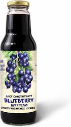 HealthTrade Συμπυκνωμένος Χυμός Blueberry Χωρίς Προσθήκη Ζάχαρης 750ml 5200700816535 HealthTrade Συμπυκνωμένος Χυμός Blueberry Χωρίς Προσθήκη Ζάχαρης 750ml 5200700816535
