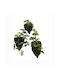 Supergreens Artificial Hanging Pine Bonsai Rock Aerial Green 130 Cm 5412-7