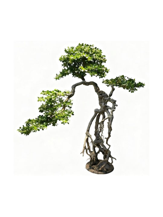 Supergreens Artificial Bonsai Pine Tree Wind Ba...
